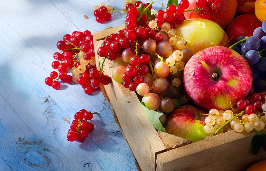 ECD Ingredients spray-dried ingredient manufacturing